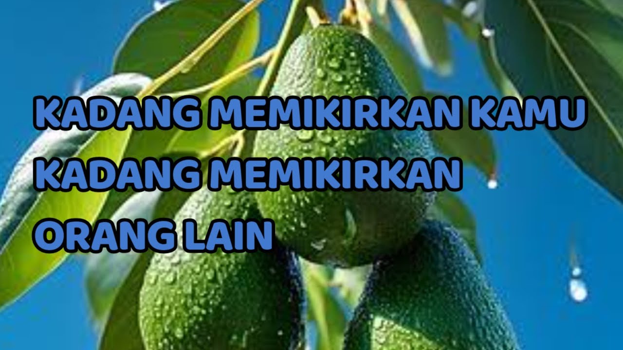 🎆 KADANG MEMIKIRKAN KAMU KADANG MEMIKIRKAN ORANG LAIN 🎆