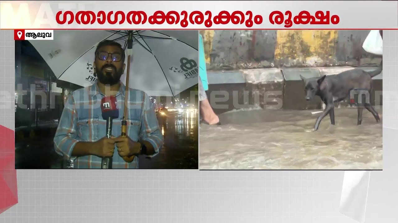 എറണാകുളം ജില്ലയിലെ ആലുവ, കോതമംഗലം, പെരുമ്പാവൂര്&zwj; ഭാഗത്ത് പെയ്തത് ശക്തമായ മഴ | Kochi Rain