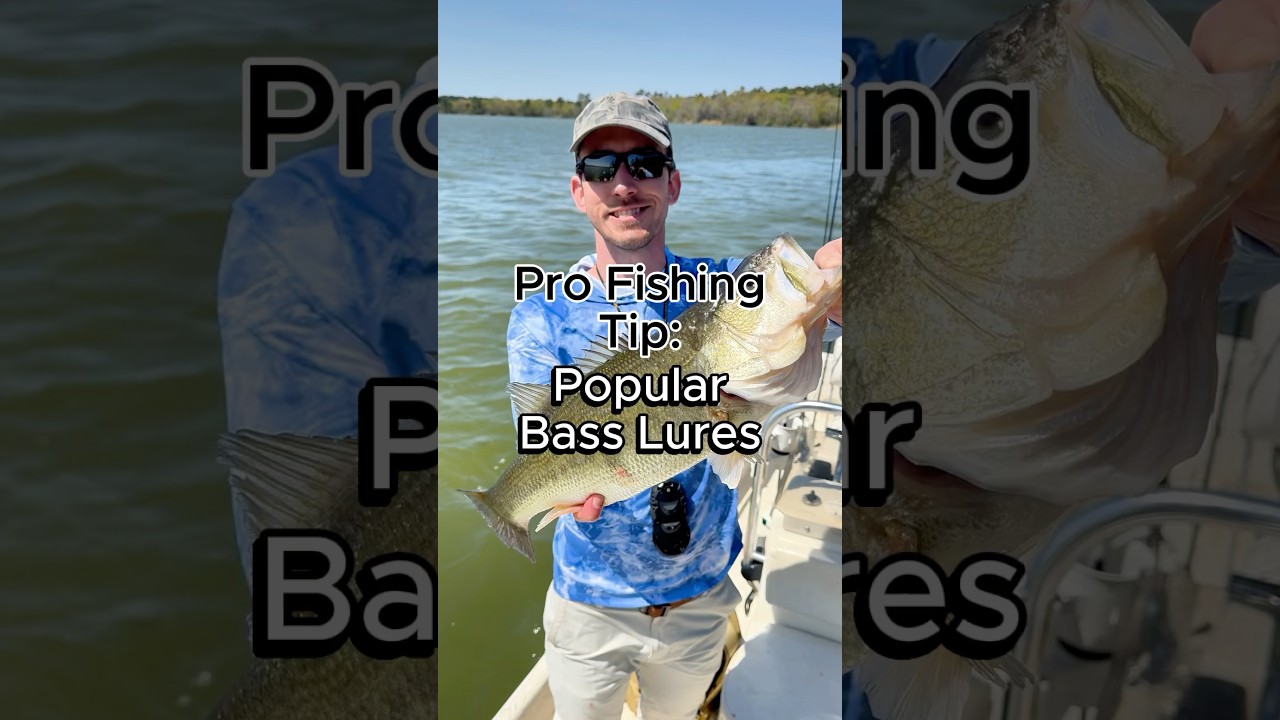 3 Best Bass Lures to help you catch bass anywhere #bassfishing #fishing #bassbaits