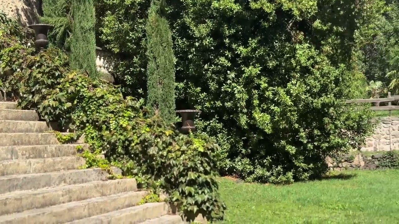 Propriété en bord de rivière