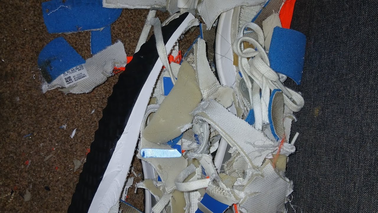 Adidas running shoes destruction 