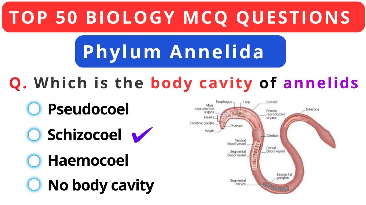 Phylum Annelida Top 50 MCQ for Competitive Exams | Biology MCQ| Animal Kingdom MCQ