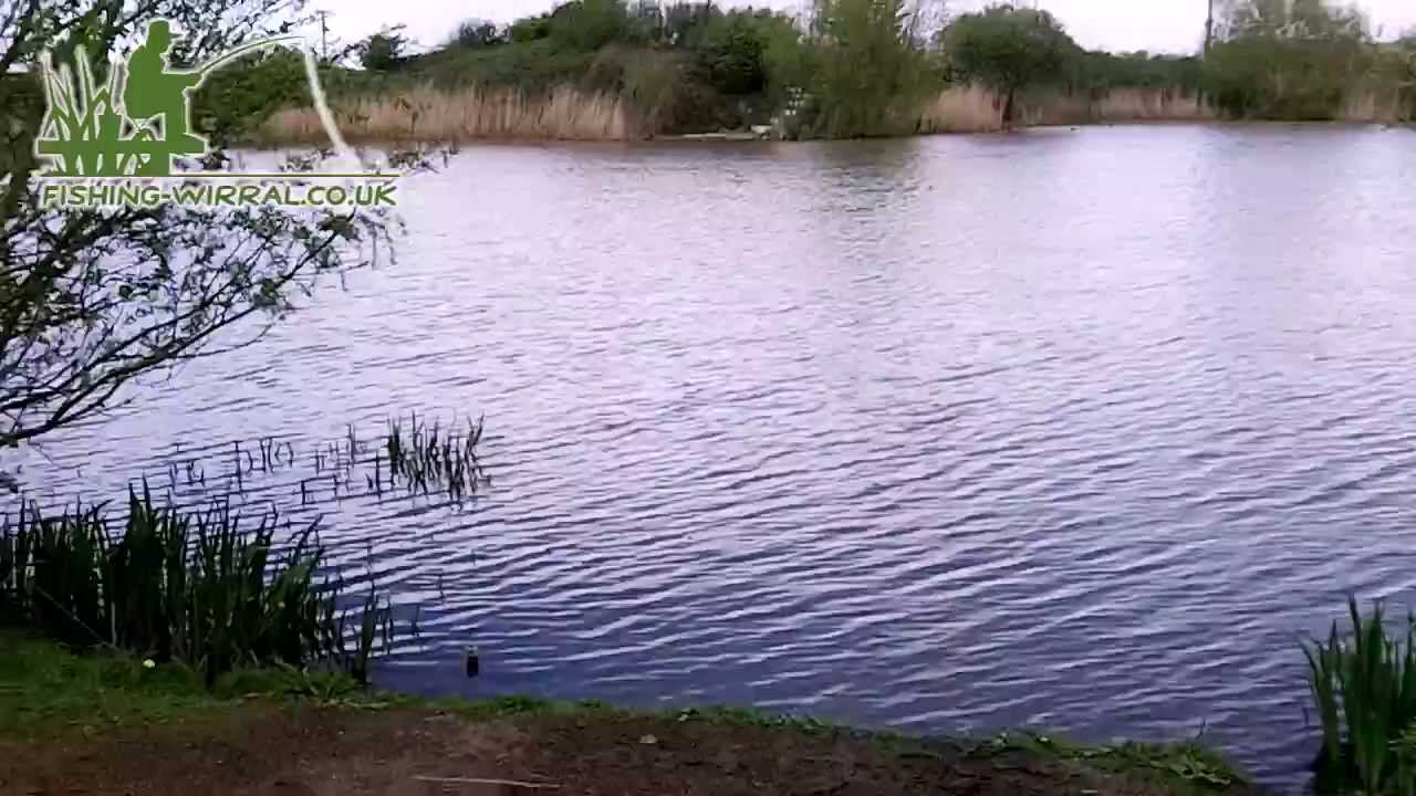 Fishing-Wirral.co.uk: Moreton Mere (Moreton Brickworks)