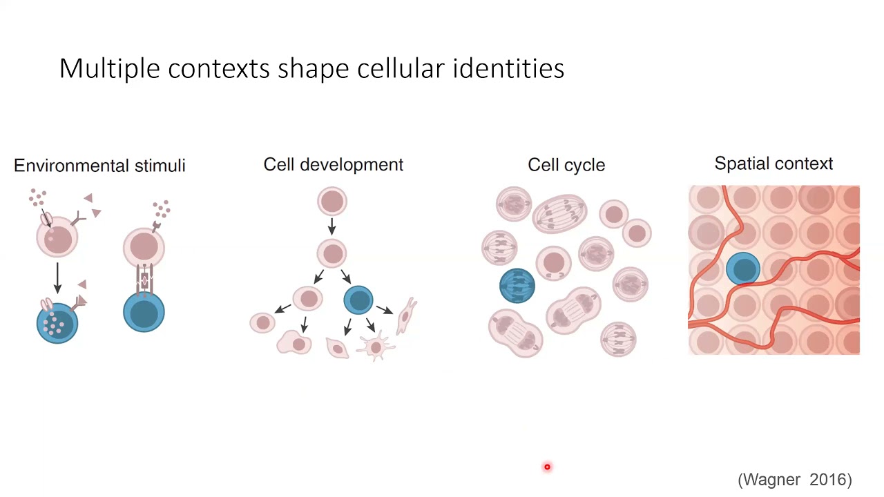 W20: Single-Cell RNA-Seq Analysis with Python - Day 3