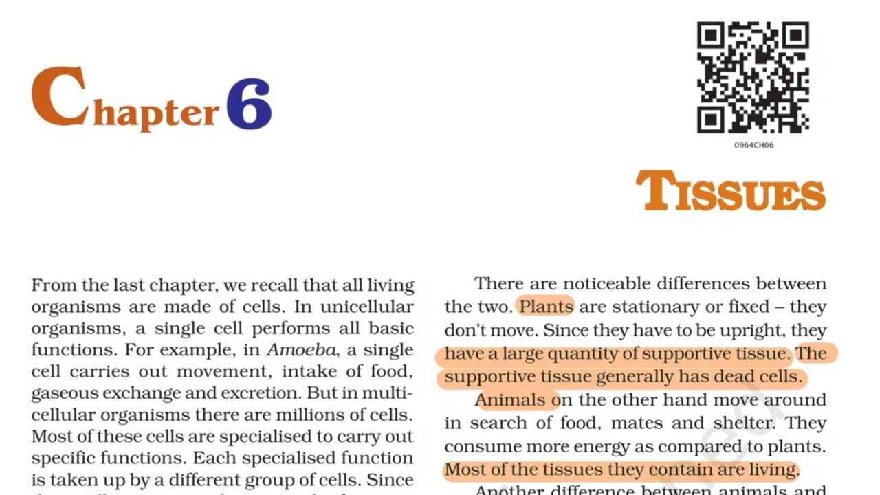 NCERT SCIENCE 9th | C-6 Tissues