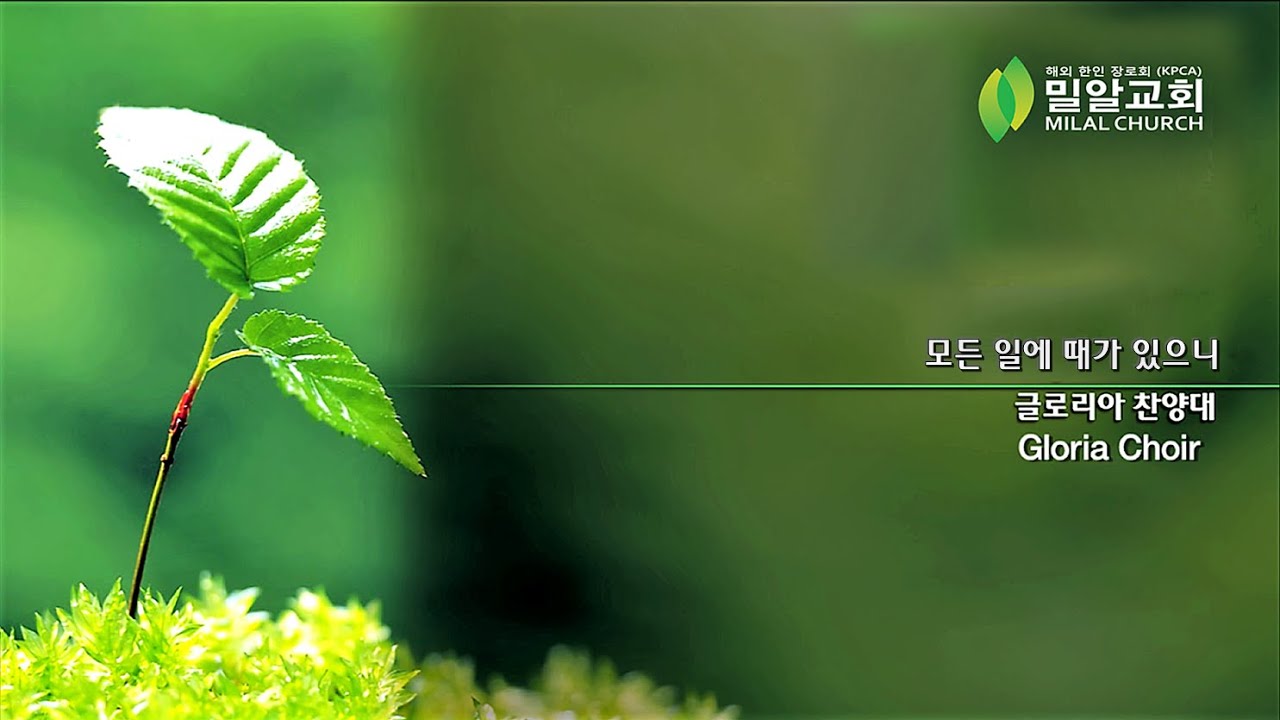 모든 일에 때가 있으니 (이형구) | 글로리아찬양대 | 밀알교회