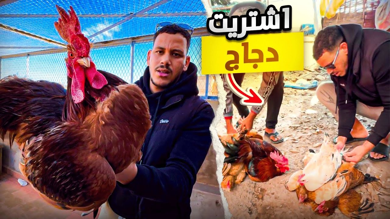 جولة في السوق الأسبوعي وشراء الدجاج البلدي🐓 تجربة ممتعة‼️