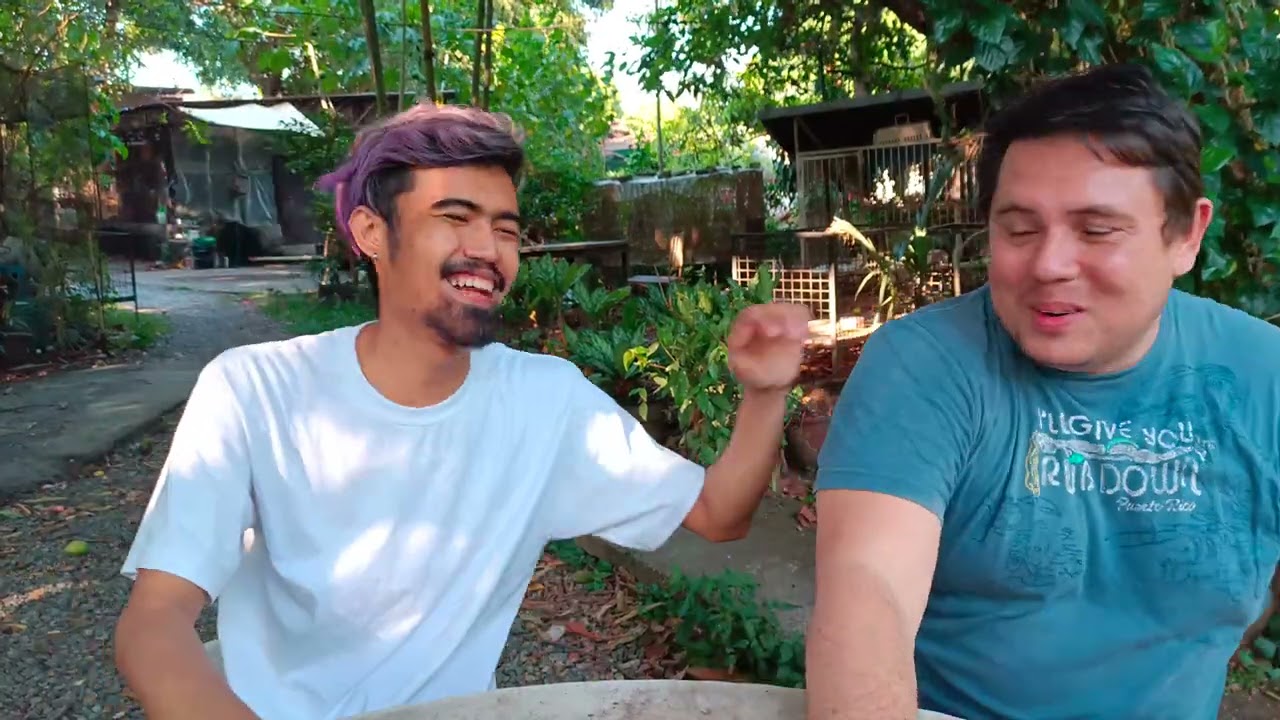 Paano Mag HANDFEED ng cockatiel