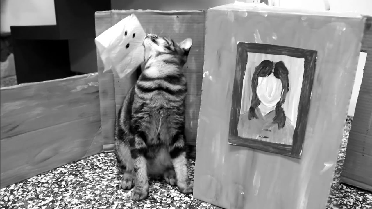 The Haptic Kittens | Vena Cava Productions