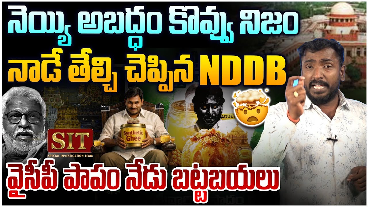 లడ్డూ కల్తీ కేసులో NDDB సంచలన రిపోర్ట్ Analyst Sudhakar On NDDB Sensational Report In TTD Laddu Case