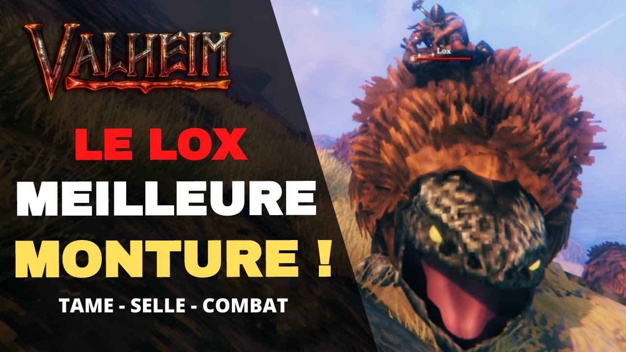 [VALHEIM] Comment Apprivoiser, Chevaucher, Utiliser le Lox ! Guides & Astuces