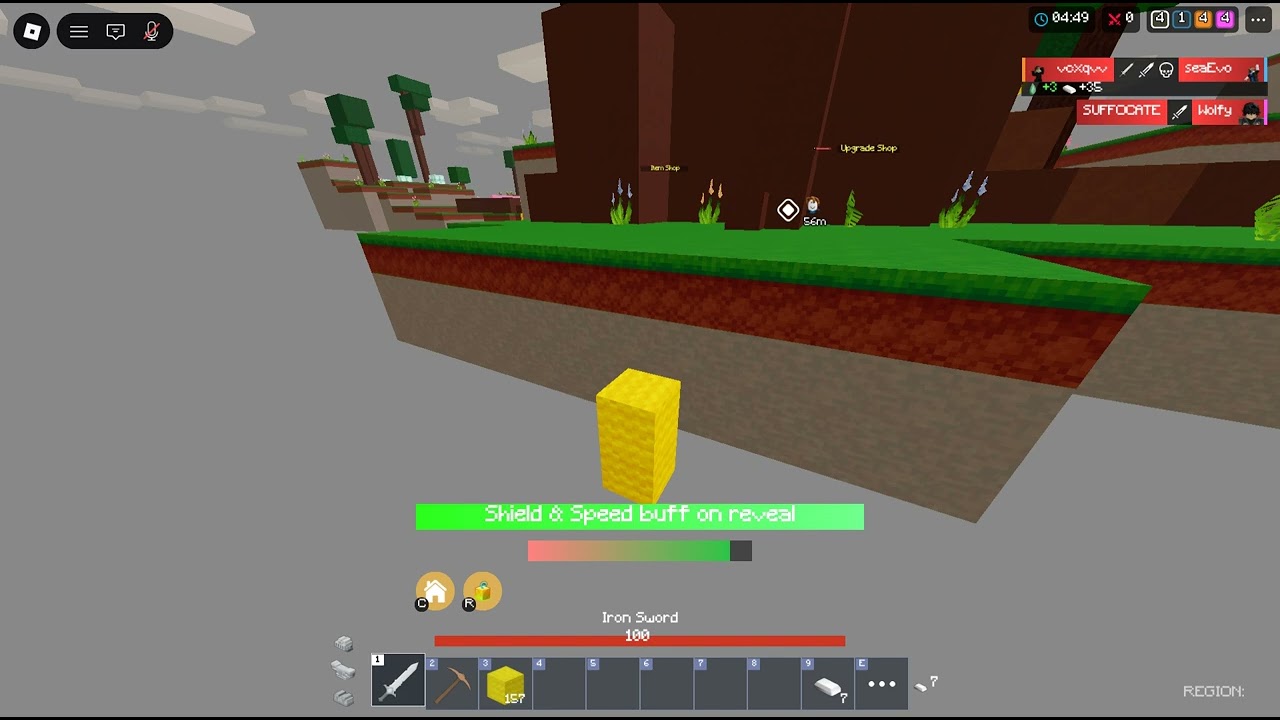 BRAINBOWSCHOOL max wiz