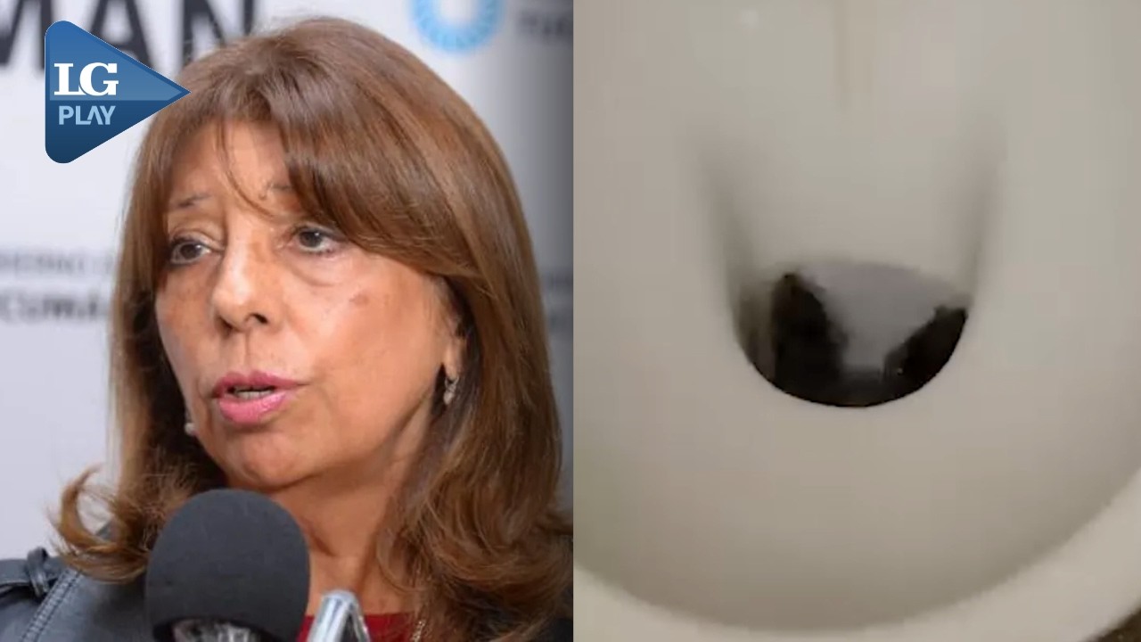 Ratas en la Normal: la Ministra de Educación responde a las denuncias de los padres y alumnos