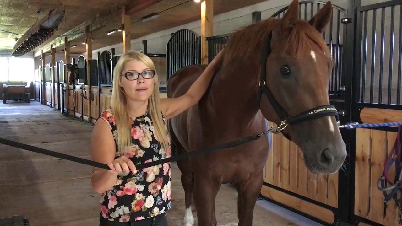 Kuidas mina teen (koolisõidu) patse hobusele- dutch braids.