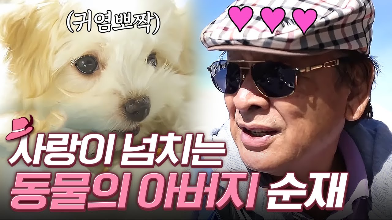 동물만 보면 미소 콸콸콸, 동물들도 알아보는 동물러버 이순재🥰 기분 좋은 스윗순재 모먼트 | 꽃보다할배