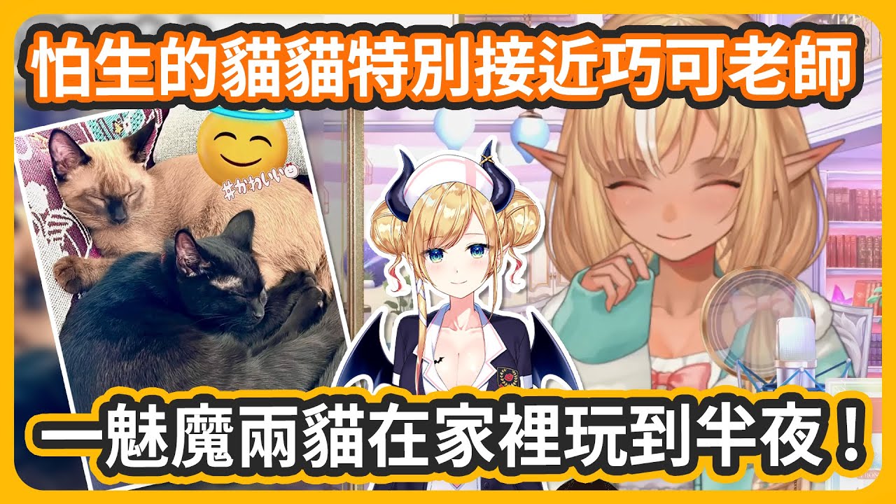 怕生的貓貓都很親近巧可老師~一魅魔兩貓玩到半夜w 這畫面太可愛了!【不知火フレア/不知火芙蕾雅】