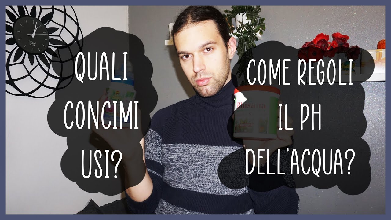 💧Come concimare correttamente in idroponica/semi idroponica🪴