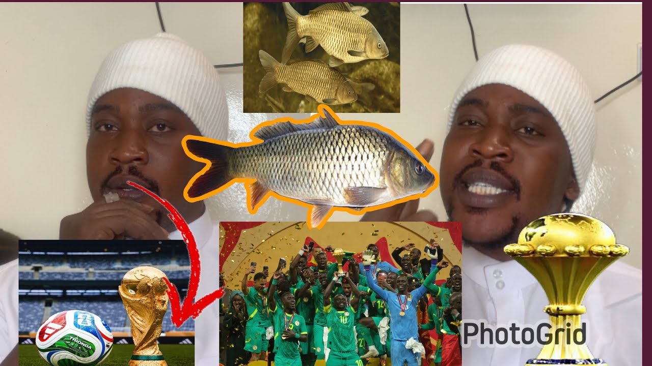 😳MAME CHEIKH TOTHNA KASS YI SENEGAL MOY DIEUL COUP DU MONDE BARKE ALKHOURAN