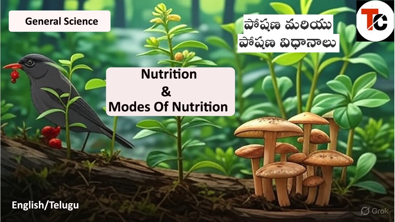Nutrition & Modes Of Nutrition | General Science | APPSC FBO | RRB | SSC | English | Telugu|