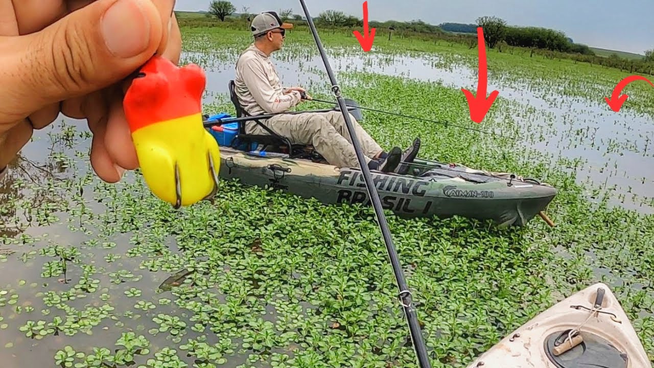 UMA MAQUINA DE ISCA SAPINHO turbo pescaria de traíra