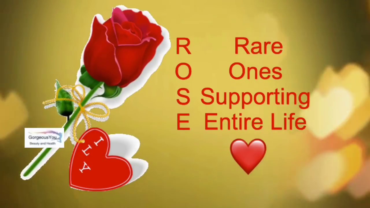 Happy Rose Day 2019| Rose Day Whatsapp Status Video|Happy Valentine&rsquo;s Day 2019 |
