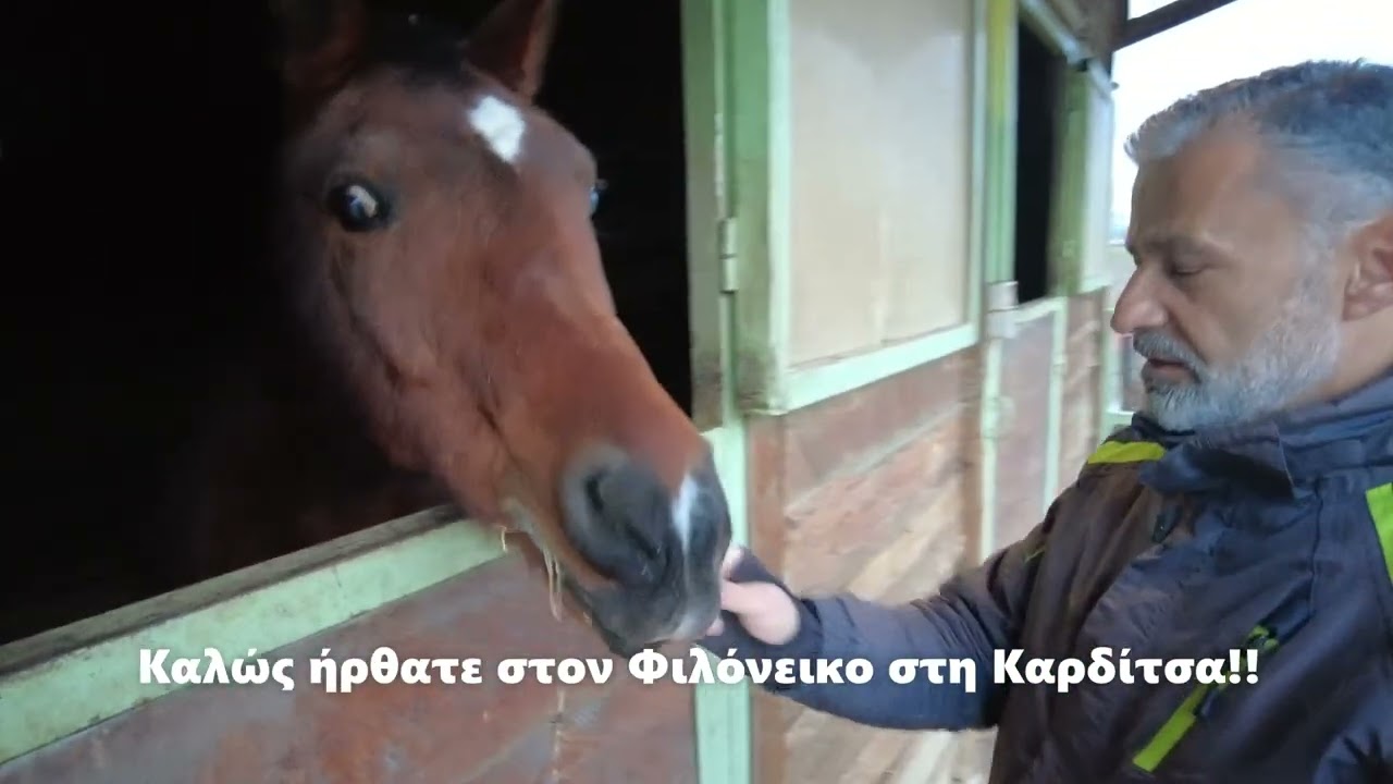 Φιλόνεικος στη Καρδίτσα - Καφέ & Ιππικό κέντρο