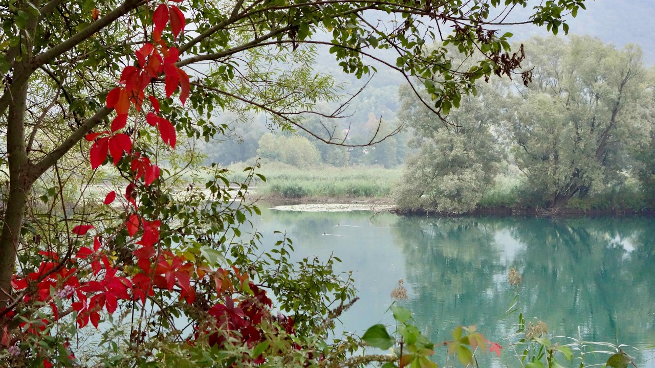 Adda, raccolta fotografica