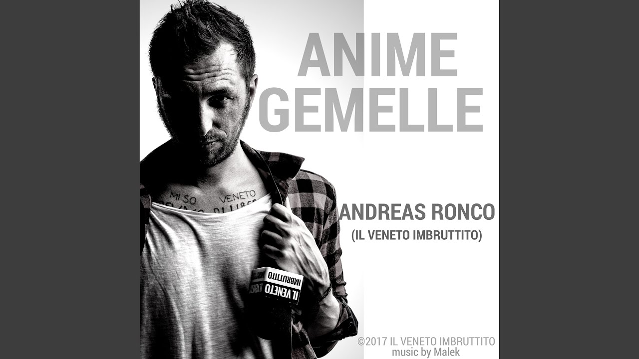 Anime Gemelle