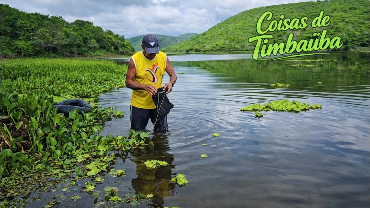 Barragem Tiúma, Timbaúba 03/03/26 pescando camarão 