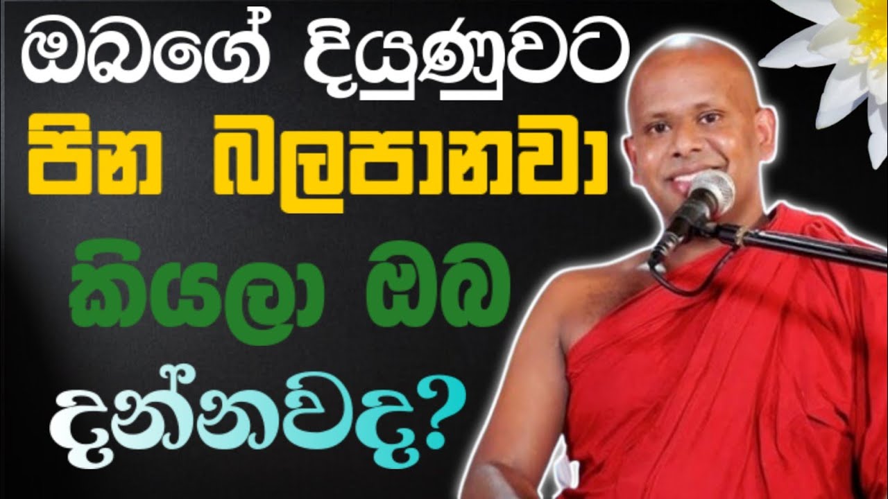 ඔබගේ දියුණුවට පින බලපානවා කියලා ඔබ දන්නවද? 🙏 / Walimada saddaseela thero🪷 