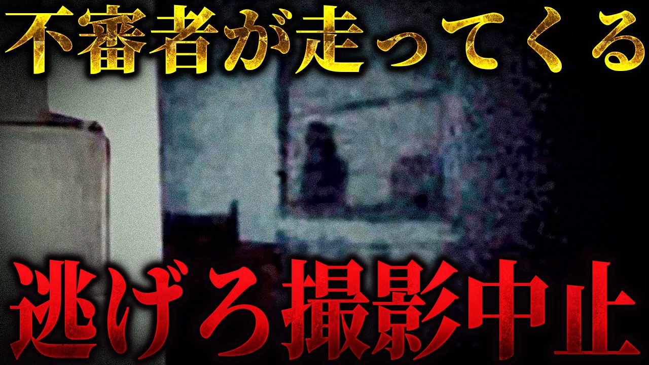 【心霊コラボ総集編】え、誰かいる？ 次の瞬間走って追いかけてくる不審者... ヤバい今すぐ逃げろ撮影中止【トリハダ×こちホラ】