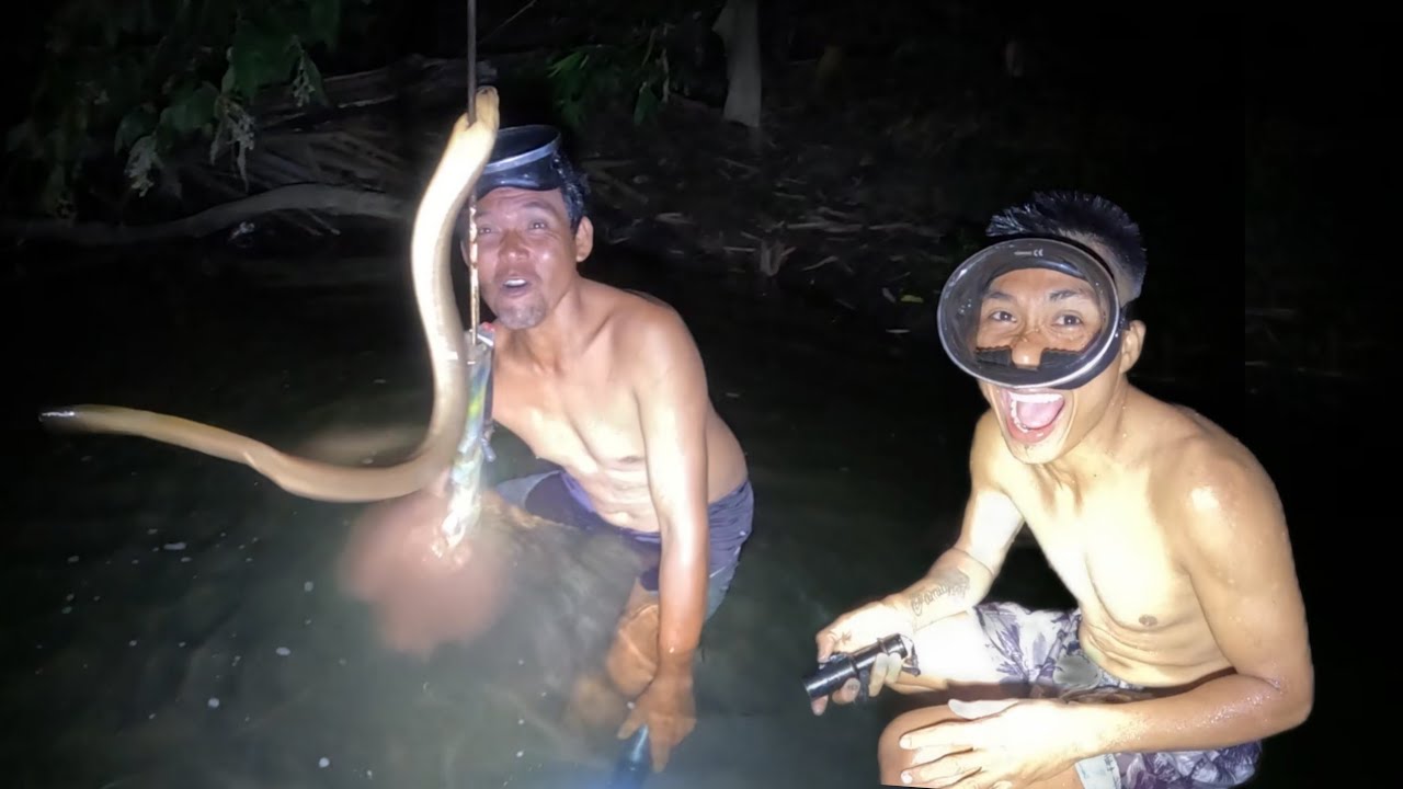 "NIGHT HUNTING" IBAT-IBANG KLASING ISDA NAHULI NG MGA MASTER 