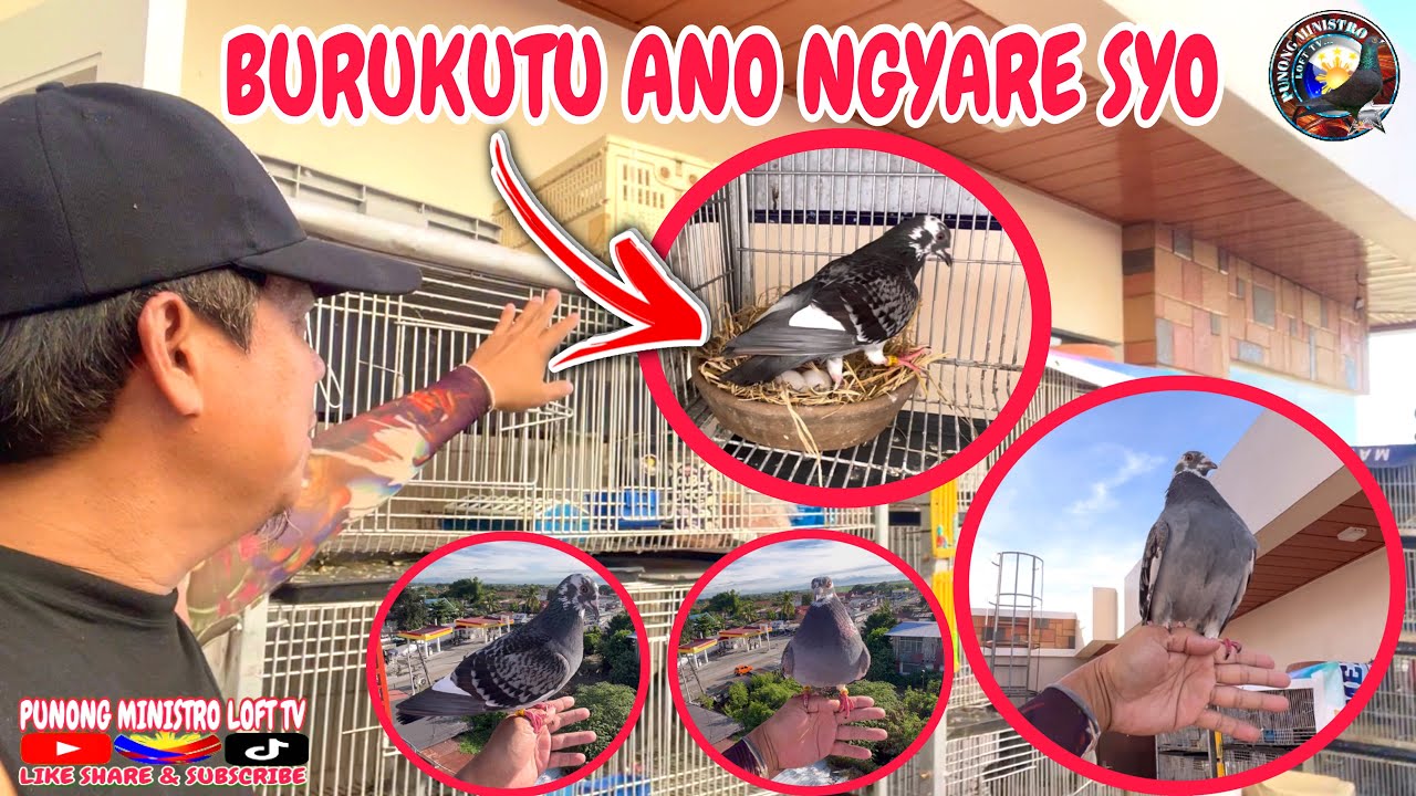 EP 888 - ANO NGYARE KAY BURUKUTU!