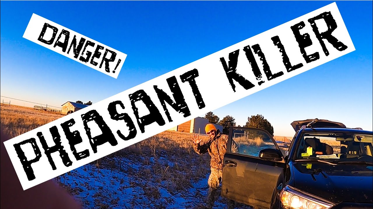 Hunting with the &ldquo;Pheasant Killer&rdquo;