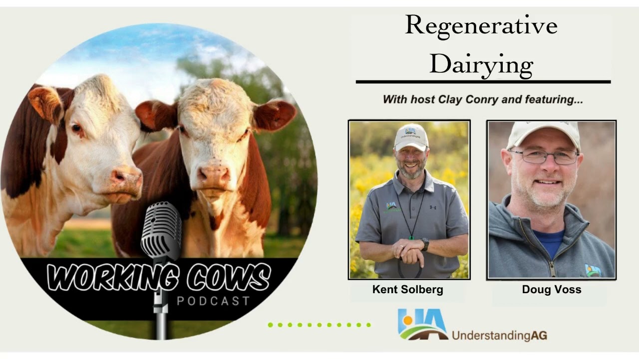 Ep  296 &ndash; Kent Solberg and Doug Voss &ndash; Regenerative Dairying Made by Headliner