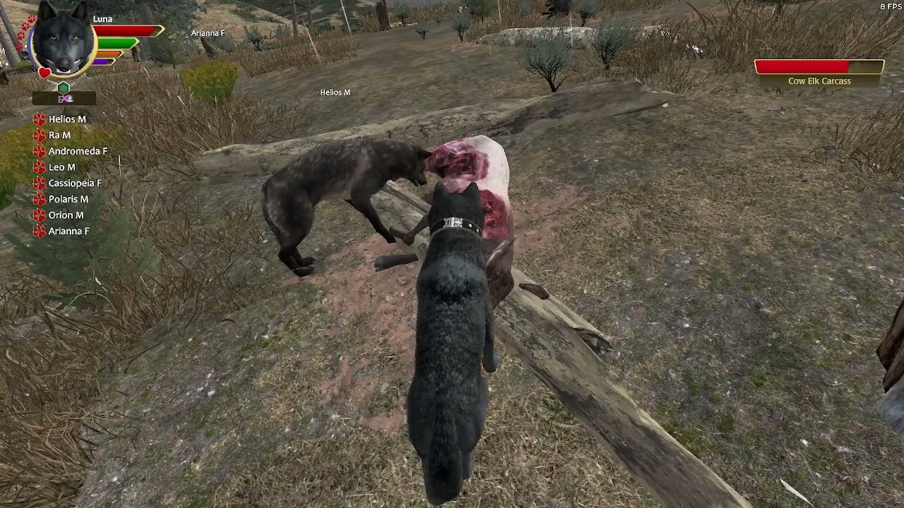 Luna's Legacy Part 1