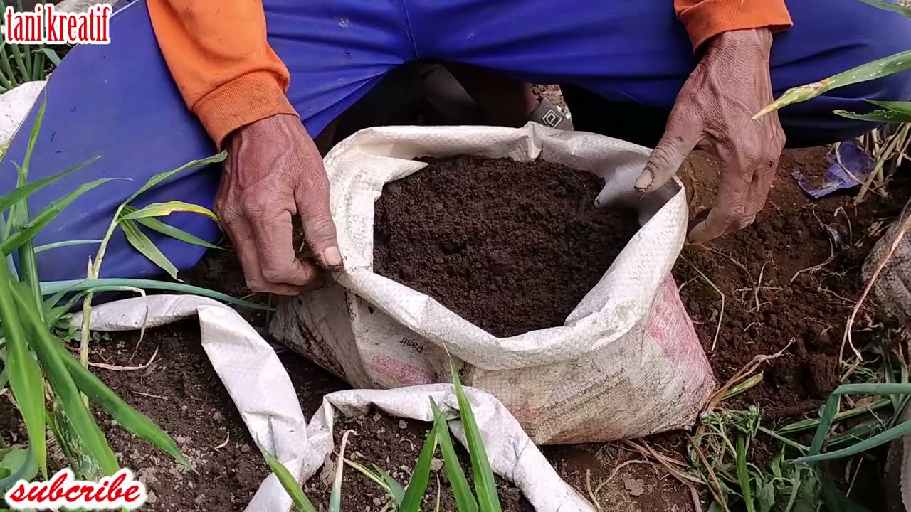 Pertanian Lahan Sempit Menguntungkan
