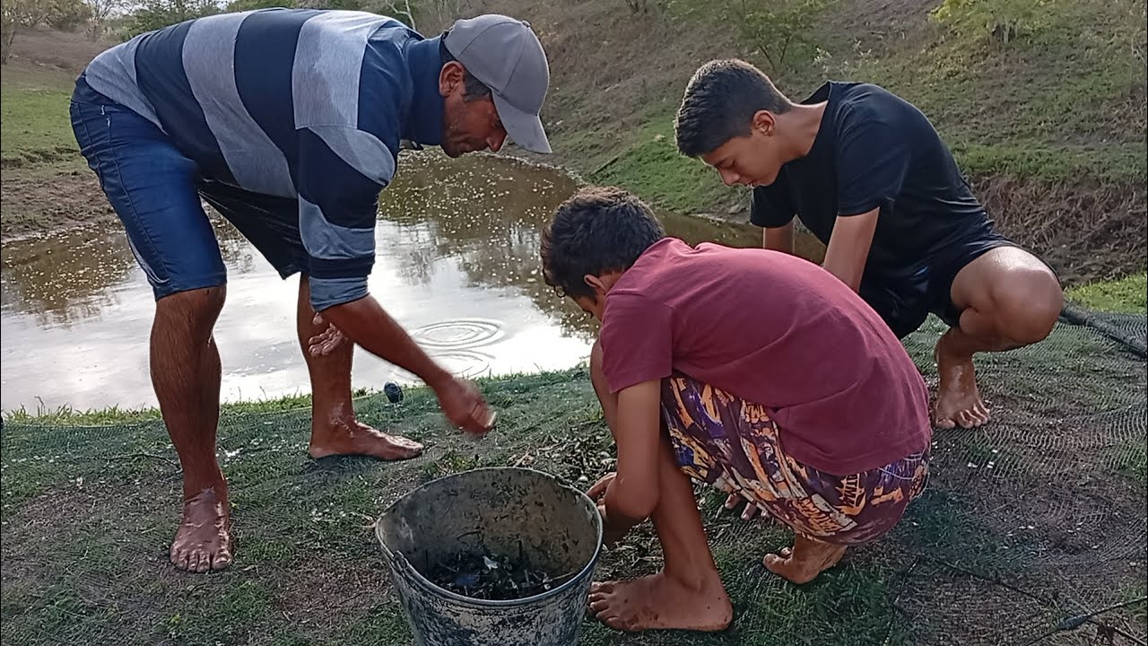 Uma pescaria diferenciada pegamos muito camarão 🦐