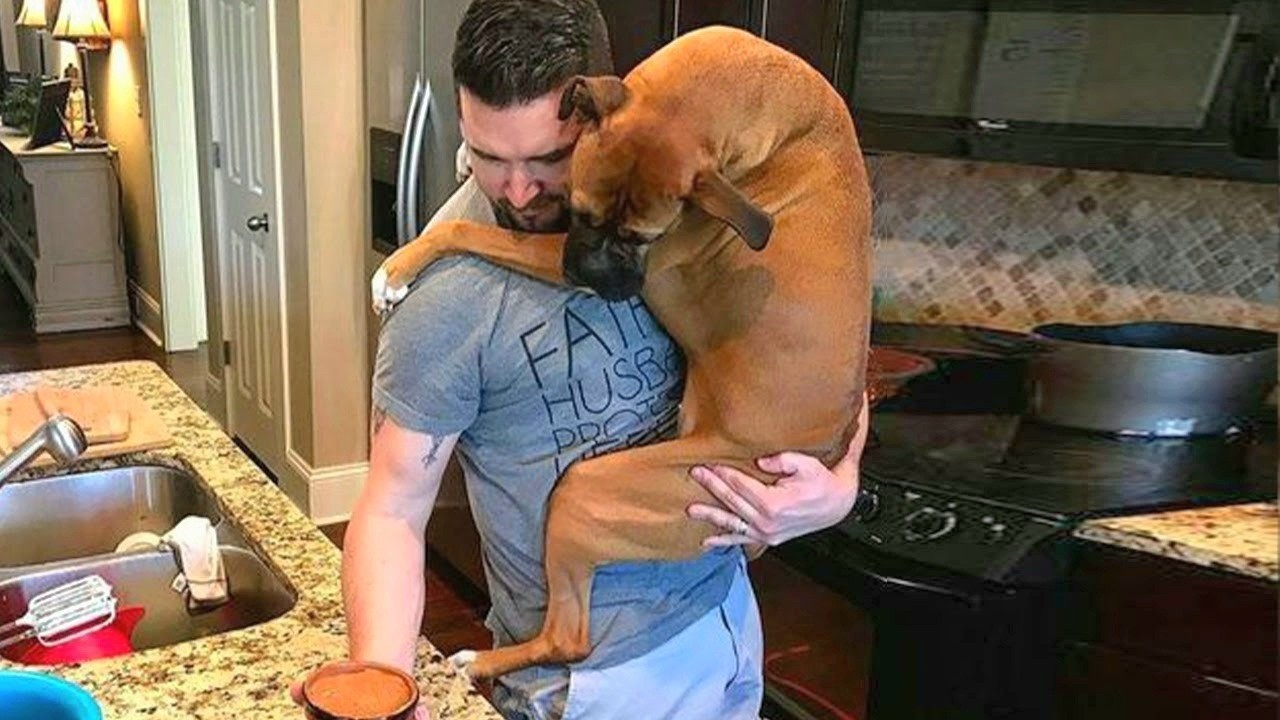 When Your Dog Thinks He’s Human 😂 | Funniest Dogs Compilation 2026