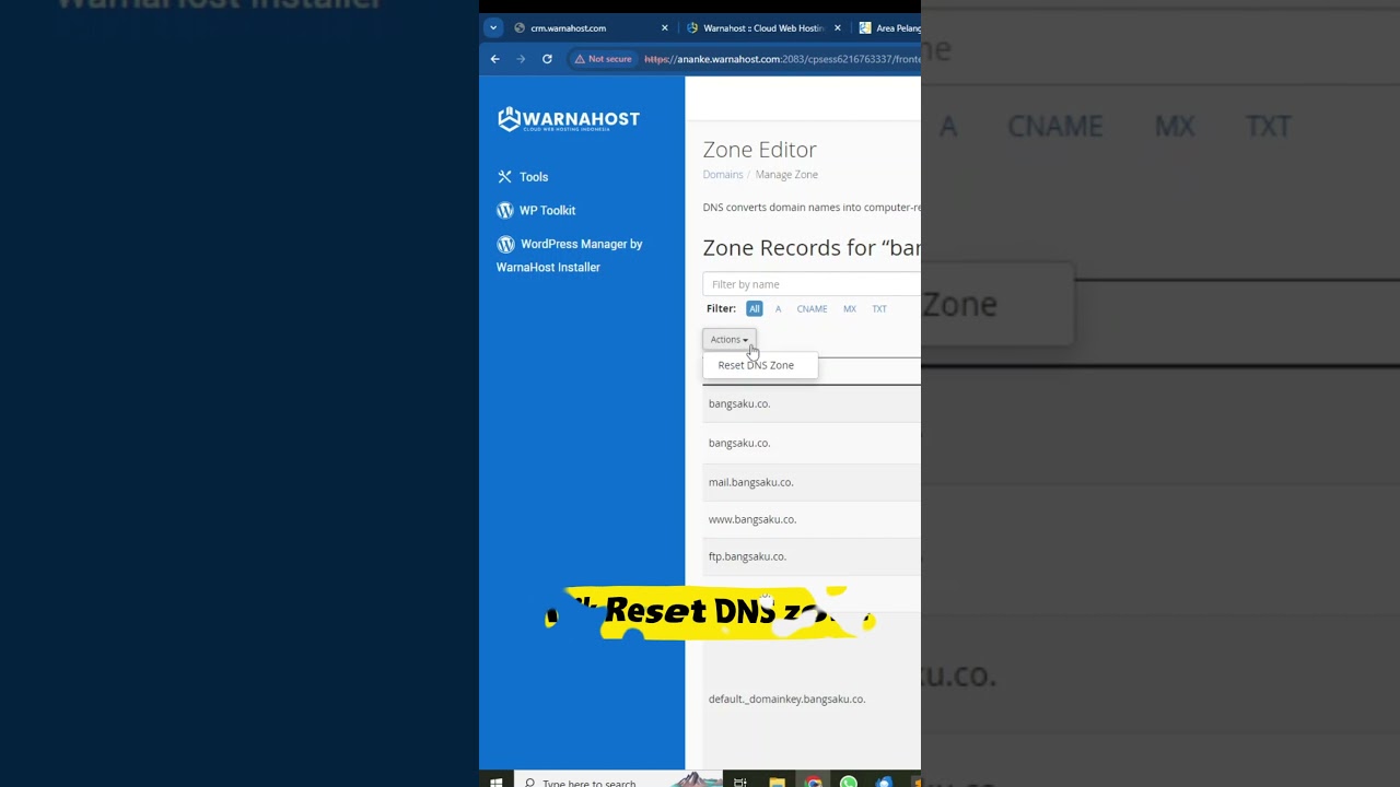 Cara Reset DNS Record Di cPanel