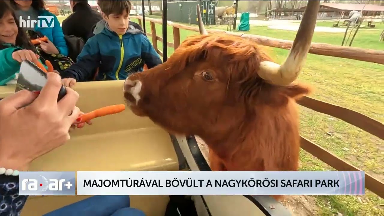 Majomtúrával bővült a nagykőrösi szafari park - HÍR TV+