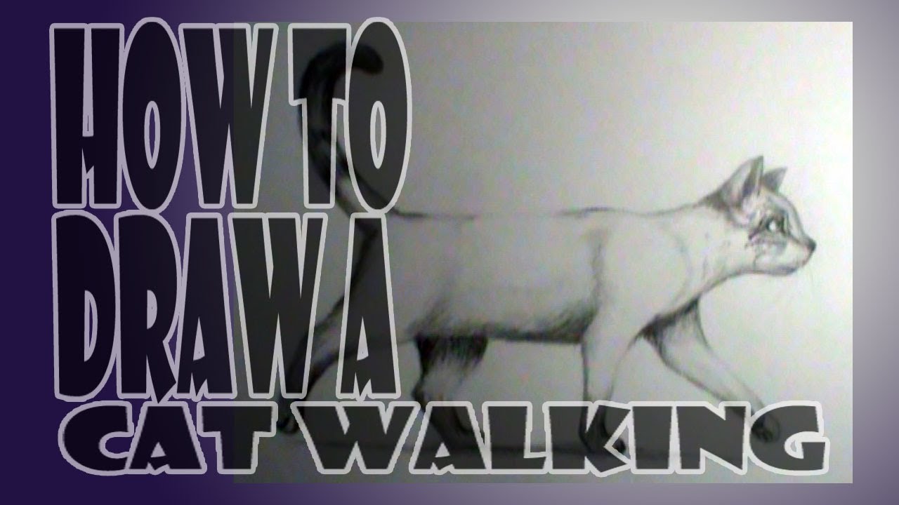 How to draw a cat walking