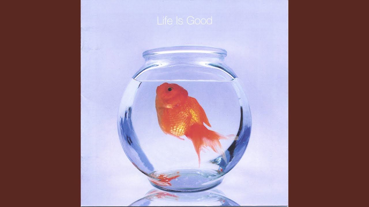 Life Is Good