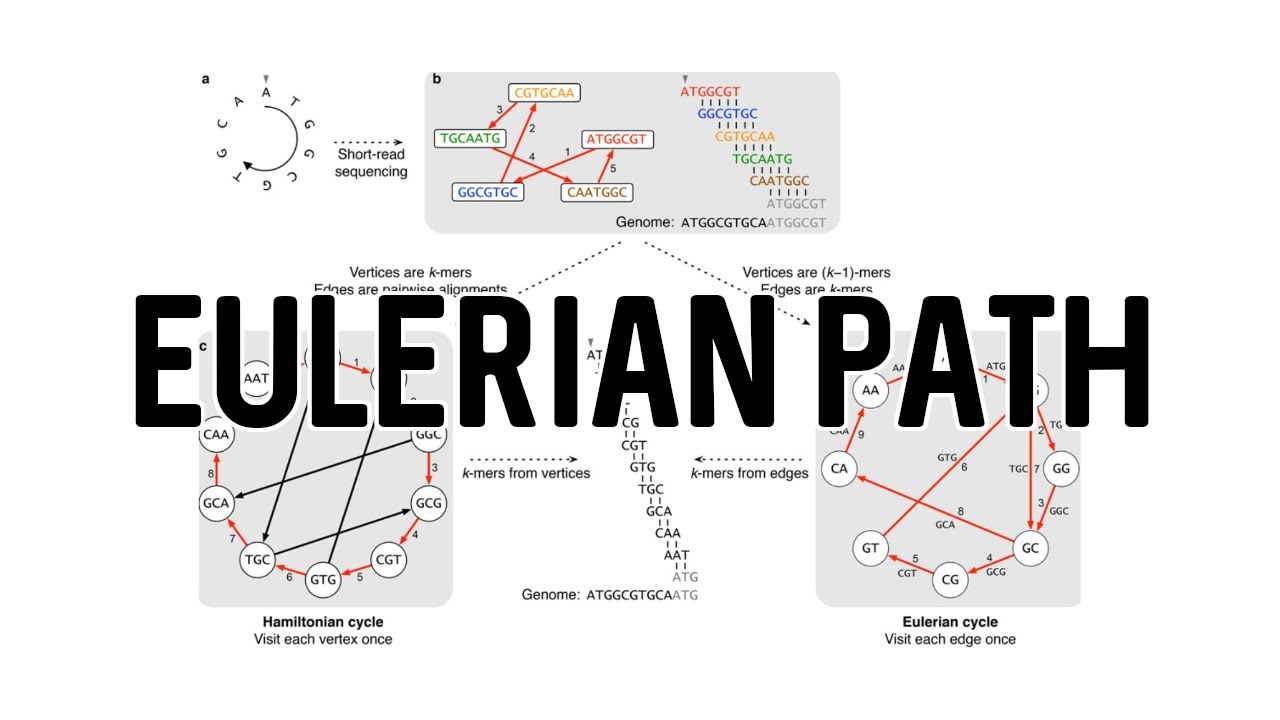 Eulerian Path to DNA Fragment Assembly