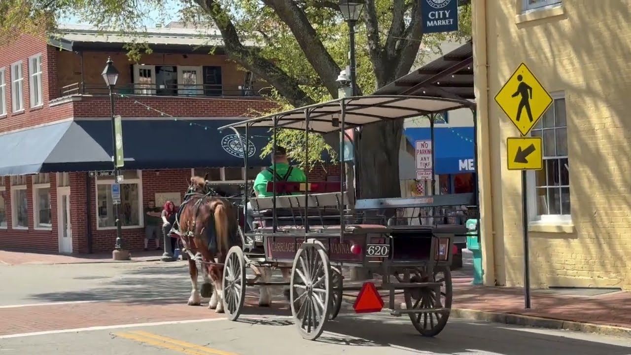 Doors of Savannah, Springtime , early March 2026