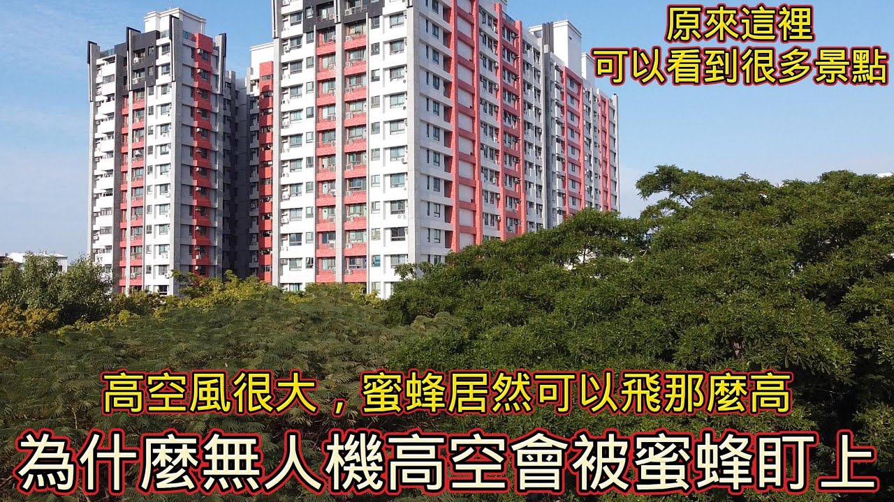 你還發現什麼?為什麼無人機高空會被蜜蜂盯上，原來這裡可以看到很多景點。世運館 日月光 半屏山 柴山。謝謝你留言與大家分享。--從空中看見台灣  空拍機 無人機，放鬆 療癒