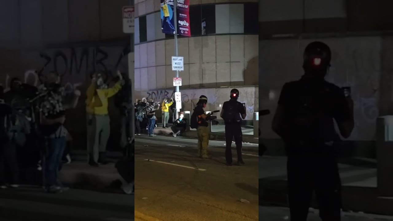 ICE OUT PROTEST  DOWNTOWN LA  #PLA #reality #firstamendment #press #StayLibre 1/31/26