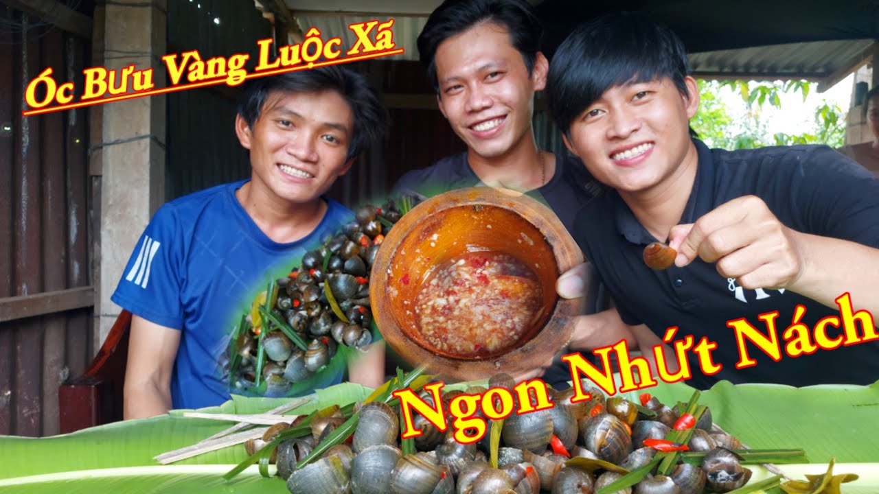Óc Bưu Vàng Luộc Xã Và Cách Pha Nước Chấm Cực Ngon |HoàiPhong Official #2