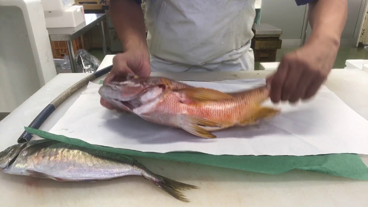 釣った魚の究極の保存《其の壱》vol.25 丸のまま保存する