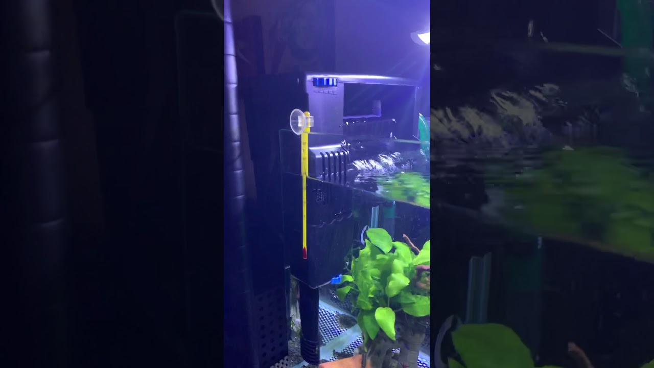 Seachem Tidal55 西肯外掛過濾器